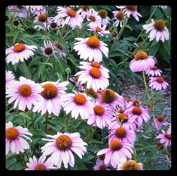 👠KEEP WATCHING👠!!!!!!!!!!! - Picture 1 of 1